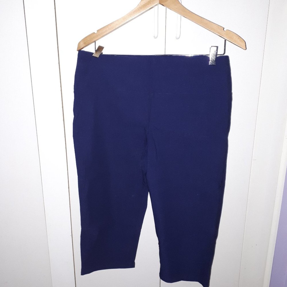 NWOT XL Navy Blue Capri with Stretch